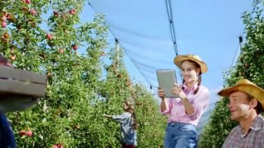 Mutlu ve karizmatik çiftçi ailesi elma bahçesinin ortasında toplanıyor elmayı ayırıyor ve dijital tabletle bazı bilgileri not alıyorlar.