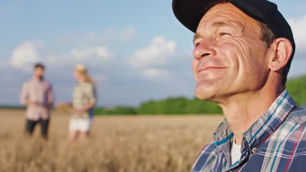 Un fermier bătrân arătos și familia sa lucrează împreună pe câmpul de grâu pe care îl analizează recolta din acest an, omul ia vârfurile și analizează cu atenție. 4k — Videoclip de stoc