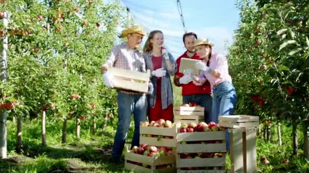リンゴ畑の真ん中にあるカリスマ的な田舎労働者のグループは、仕事を終えた後にデジタルタブレットから写真を撮って、木のバスケットの横に立っています — ストック動画
