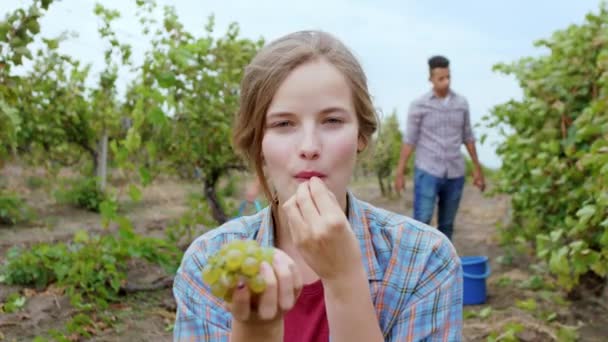 Niesamowita pani z doskonałym uśmiechem jedząca pyszne organiczne winogrona z winnicy, podczas gdy inni sezonowi pracownicy zbierają winogrona. — Wideo stockowe