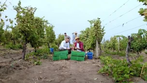 Geschäftsmann und ein gestandener Bauer diskutieren mitten im Weinberg über den Geschmack der Trauben. Schuss auf ARRI Alexa — Stockvideo