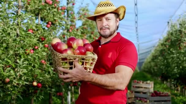 In front of the camera good looking man farmer holding a basket full of fresh and juicy apple from the modern apple orchard. Shot on ARRI Alexa Mini. — Stock Video