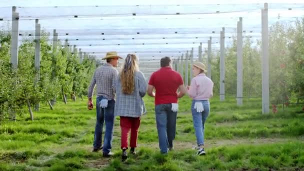 Au milieu du verger de pommes groupe d'agriculteurs jeunes et matures marcher et discuter quelque chose sur la récolte des pommes de cette année. Tourné sur ARRI Alexa Mini. — Video