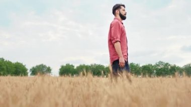 İyi görünümlü bir çiftçi genç buğday tarlasının ortasında yürürken bu yılın çalışmalarının sonuçlarını analiz ediyor.