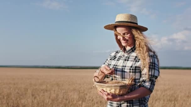 Mooie charismatische dame met een lang krullend haar neem een mand vol tarwe graan en spelen met de handen in het midden van tarweveld na een goede oogst succesvol — Stockvideo