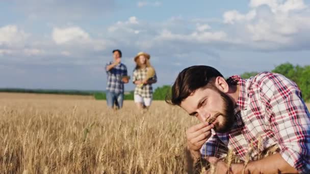 Lachende grote en charismatische jongen jonge boer analyseren van de tarwe in het midden van het veld hij kijkt recht naar de camera zijn familie op de achtergrond hebben een discussie — Stockvideo