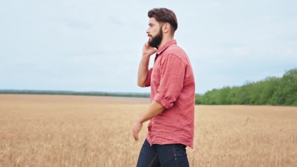 Za slunečného dne uprostřed velkého pšeničného pole procházející polní muž farmář velmi dobře vypadající on mluví po telefonu mají soustředěnou diskusi — Stock video