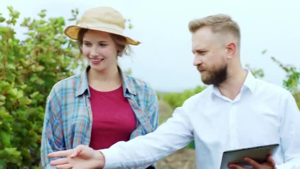 A szőlő üzletember és női farmer együtt sétálnak a kamera előtt, elemzik az idei szőlőszüretet, és jegyzetelnek a digitális tábláról. Lelőtték az ARRI Alexán. — Stock videók