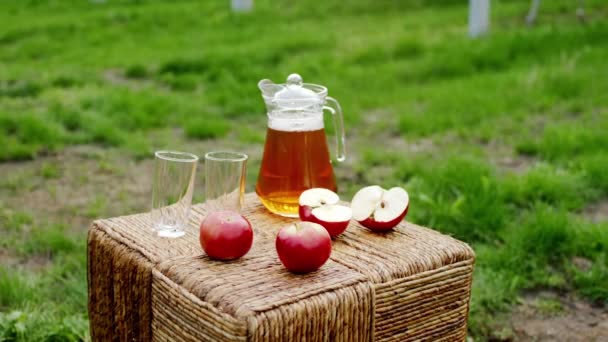 Soleado día de otoño tomando video de una manzana fresca del huerto orgánico y un poco de jugo fresco hecho de esta manzana jugosa y madura — Vídeos de Stock