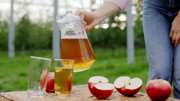 Een naaste boerendame neemt een kruik om wat vers sap in de glazen te gieten midden in de appelboomgaard. Neergeschoten op ARRI Alexa Mini. — Stockvideo