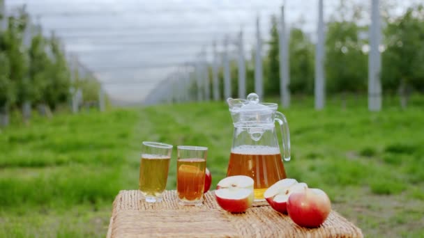 Herfstdag het maken van video van een mooie en grote appelboomgaard voor de camera staan een kan vol appelsap en wat verse en sappige appels van de boom — Stockvideo