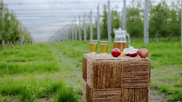 Tomando detalles del video en medio de un moderno concepto de huerto de manzanas de la agricultura un stand con manzanas frescas y una jarra llena de jugo fresco — Vídeos de Stock