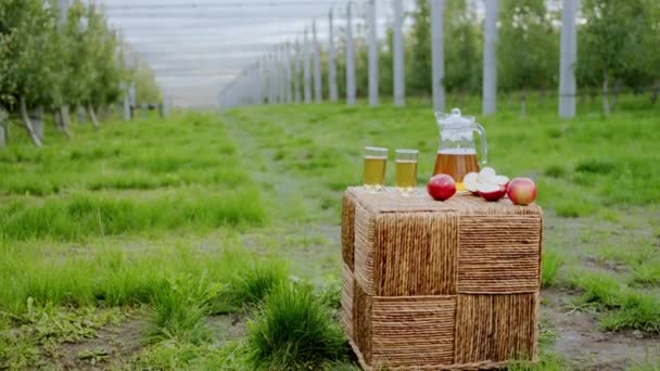 Zbliżenie wideo przechwytywanie w środku sadu jabłkowego świeżego soku i koncepcja organicznego jabłka zdrowej żywności i stylu życia — Wideo stockowe