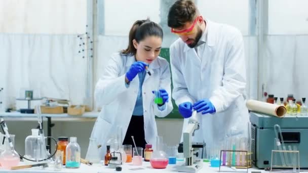 Goed uitziende dame en man wetenschapper geconcentreerd maken een experiment op het laboratorium ze mengen wat chemische vloeistof en het analyseren van de resultaten — Stockvideo