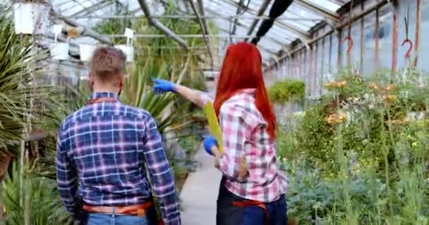 Floriști carismatici și atractivi femeie și bărbat care se plimbă prin seră iau oala unei flori și analizează sănătatea — Videoclip de stoc
