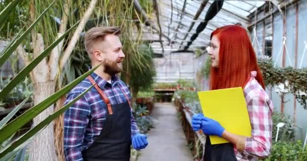 Dois florista feminino e homem em uma grande estufa eles andando e analisando a saúde das plantas e flores — Vídeo de Stock