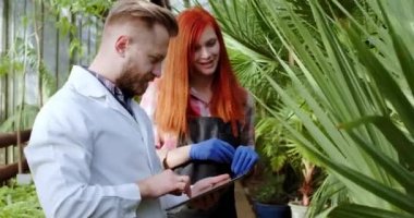 İyi görünümlü erkek bilim adamı ve güzel kadın çiçekçi yoğunlaştırılmış olarak tartıştıkları bir serada bitki ve çiçeklerin durumunu analiz ediyorlar. 4k