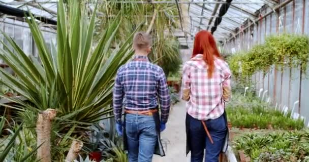 Charismatische twee bloemist vrouw en echtgenoot familie hobby 's zorgen voor de bloemen in een kas ze analyseren van de gezonde van de bloemen. 4k — Stockvideo