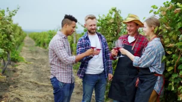 Begreppet jordbruk och jordbruksindustri grupp av lantbrukare jordbrukare tar några glas vin i mitten av vingården de jublar och ler stora — Stockvideo