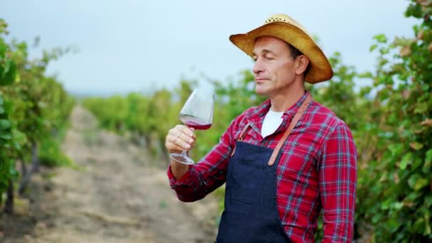Kameranın önünde yaşlı çiftçi bir bardak şarap al ve üzüm bağının ortasında kameranın önünde tadına bak. — Stok video