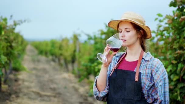 Красива леді сільської місцевості в середині винограднику взяти скляне вино і спробувати з задоволенням вона насолоджується моментом — стокове відео
