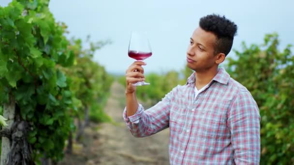 Devant la caméra Afro Américain charismatique gars au milieu du vignoble goûter un peu de vin biologique — Video