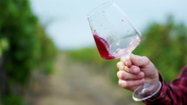 In front of the camera taking details of a farmer hand holding glass of wine and spinning in front of the camera in the middle of vineyard — Stock Video