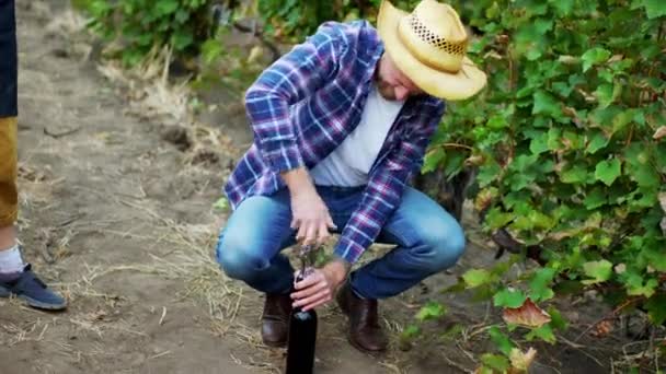 Im Weinberg an einem Herbsttag öffnet Bauer ein Glas Biowein, seine Frau bereitet ein paar Gläser vor. — Stockvideo