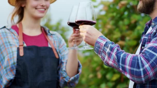 Koncept rodinného podniku uprostřed vinice manželka a manžel venkov s velkým úsměvem pít nějaké čerstvé organické víno, které jsou nadšeni výsledky sklizně v letošním roce — Stock video