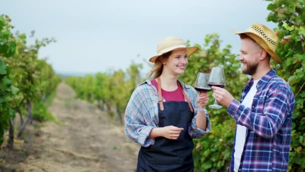 Voor de camera juichen de knappe boer en zijn mooie vrouw met wijnglazen in het midden van de wijngaard die ze genieten van de tijd na afloop van het ophalen van de oogst. 4k — Stockvideo