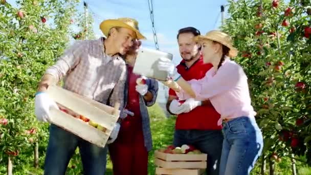 Carismático con una gran sonrisa de las parejas de agricultores tomando algunas fotos utilizando tableta digital en el medio del huerto de manzanas después de que terminan de recoger las manzanas — Vídeo de stock