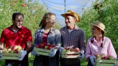 Bir grup çiftçi aile, orta elma bahçesinde kameranın önünde yürürken ellerinde taze ve olgun elmalarla doğrudan kameraya bakıyorlar. ARRI Alexa Mini 'de çekilen.