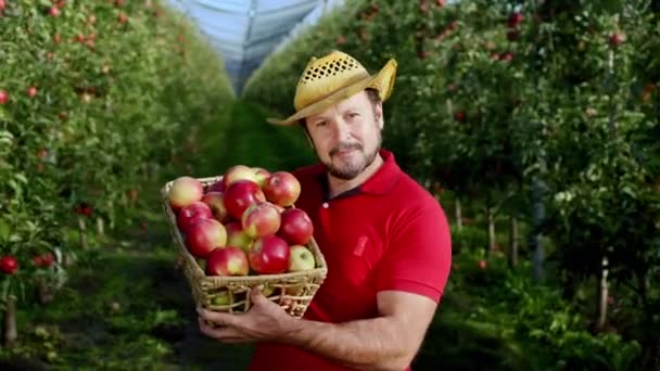 Красивий фермер посеред яблучного саду позує, дивлячись прямо на камеру з кошиком, повним стигле і свіже яблуко — стокове відео