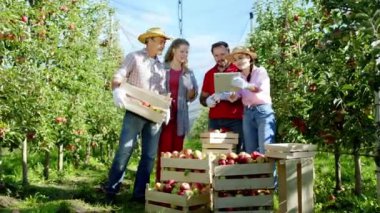 Günün sonunda, elma bahçesinin ortasında çiftçi bir aile, ahşap elma sepetiyle bazı resimler yapmak için dijital tablet alıyor. ARRI Alexa Mini 'de çekilen.