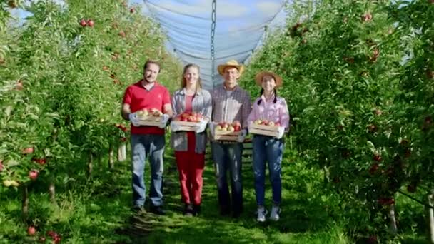 Vonzó és mosolygós nagy családi farmer koncepció közepén az alma gyümölcsös gyönyörű hölgyek és érett férfiak kezében fadobozok és egyenesen a kamerába néz — Stock videók