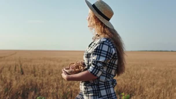 Концепция сельского хозяйства и сельского хозяйства красивая дама в середине пшеничного поля она держит корзину с пшеничной травой и ищет где-то далеко — стоковое видео