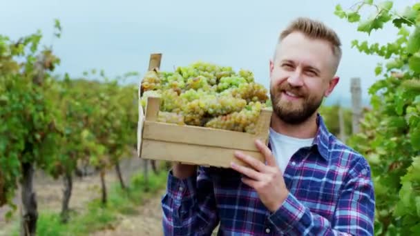 Autumn day walking countryside man with a large smile holding a wooden basket full of grapes harvest in the middle of vineyard — Stock Video