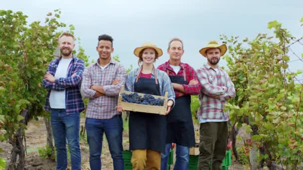 Grupo atraente de agricultores estilo de vida rural posando na frente da câmera segurando uma cesta de madeira uvas sorrindo grandes pessoas carismáticas. Tiro em ARRI Alexa — Vídeo de Stock