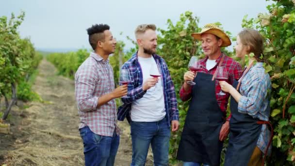 Красивые харизматичные сельские фермеры принимают несколько бокалов органического вина и вкуса в середине виноградника. Застрелен на ARRI Alexa — стоковое видео