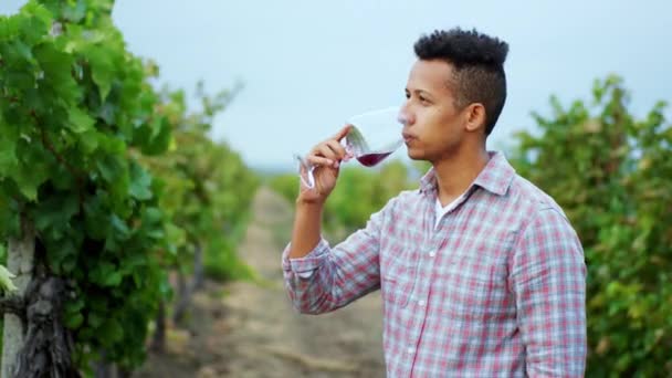 Hombre afroamericano bien parecido en medio de la viña en el día de otoño toma una copa de vino fresco orgánico y sabores en la parte delantera de la cámara — Vídeos de Stock