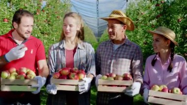 Büyük bir gülümseme ile iyi görünümlü kırsal insanlar çiftçilik kavramı Elma bahçesi ortasında kameranın önünde duruyor taze ve olgun elmalarla dolu bir kutu