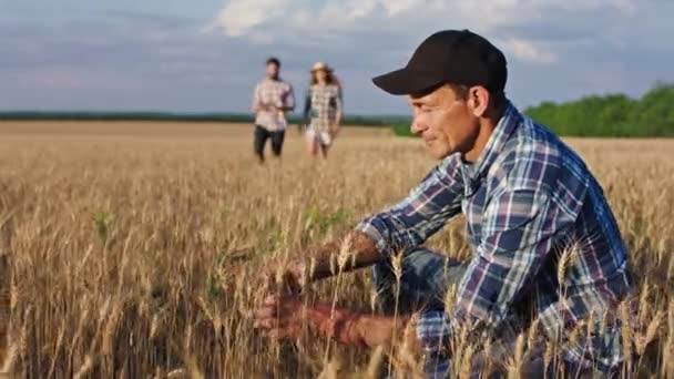 Davanti alla macchina fotografica bello vecchio contadino e la sua famiglia insieme trascorrere del tempo in mezzo al campo di grano analizzano il raccolto di quest'anno — Video Stock