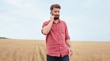 Telefonda konuşan karizmatik çiftçi buğday tarlasında yürürken kameranın önünde el kol hareketi yapıyor. ARRI Alexa Mini 'de çekilen.