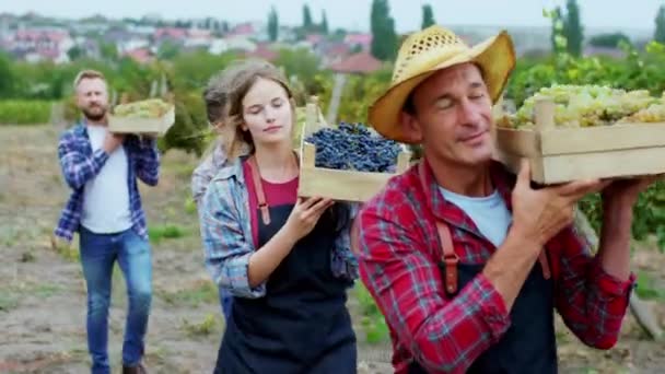 Proche de la caméra groupe multiethnique de travailleurs ruraux tenant un panier en bois plein de vendanges fraîches ils ont un visage heureux et souriant. Tourné sur ARRI Alexa — Video