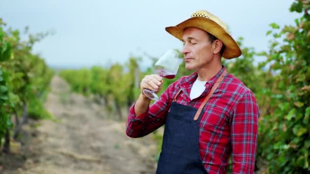 Charismatique fermier mature homme prendre un verre de vin biologique au milieu de son vignoble, il goûte le vin et se sentir heureux. 4k — Video