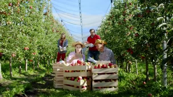 Der moderne Apfelplantagenbauer mit seiner Tochter und anderen Arbeitern sortiert den Apfel auf der anderen Korbseite und macht dafür ein paar Fotos mit einem digitalen Tablet. — Stockvideo