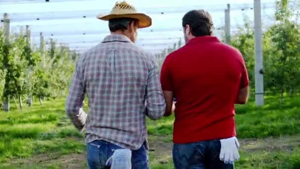 Bons hommes fermiers marchant dans le verger de pommes ils analysent la récolte et la prochaine étape pour un nouveau verger. Tourné sur ARRI Alexa Mini. — Video