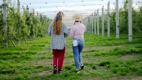 Aantrekkelijke twee dames platteland hebben een discussie in het midden van appel boomgaard terwijl ze lopen naar de camera ze analyseren van de resultaten van de appeloogst van dit jaar — Stockvideo