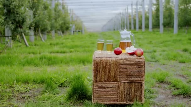 Fånga video av ett nyklippt äpple och färsk ekologisk juice mitt i en modern äppelträdgård. 4k — Stockvideo