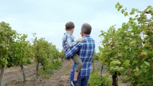 Good looking old man farmer and his nephew walking though the large vineyard grandpa take the nephew on the hand concept of organic farming and family business. Shot on ARRI Alexa — Stock Video
